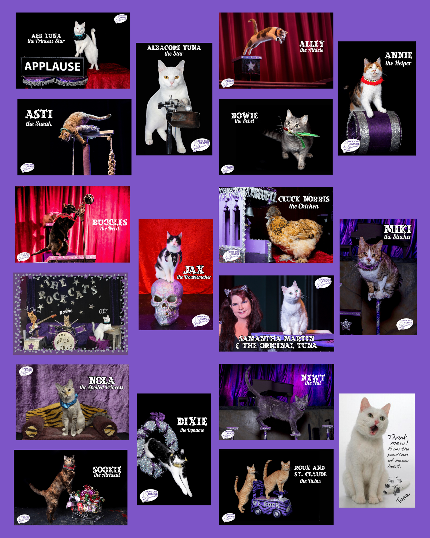 The Amazing Acro-cats Postcard Collection — Rock Cats Rescue Inc